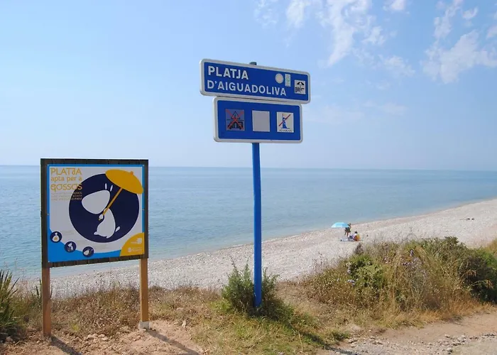 Tatil Evi Adaptados 4 *